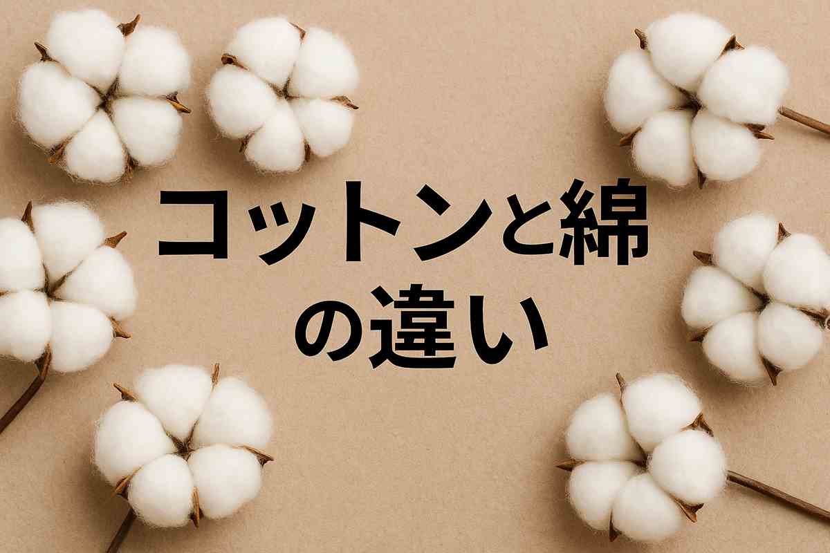 コットン