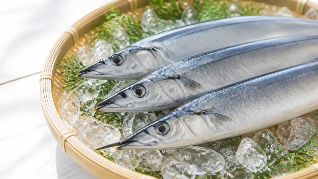 サンマはどうして内臓まで食べられるのか？理由と注意点を解説