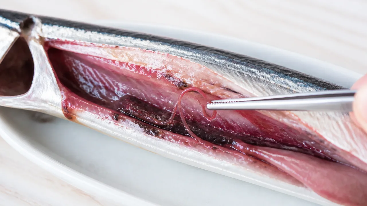 サンマはどうして内臓まで食べられるのか？理由と注意点を解説